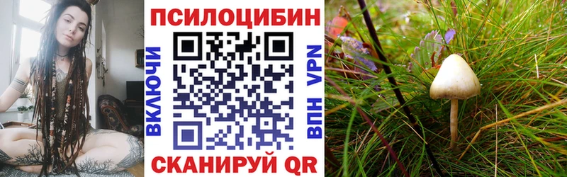 Галлюциногенные грибы Cubensis Бежецк